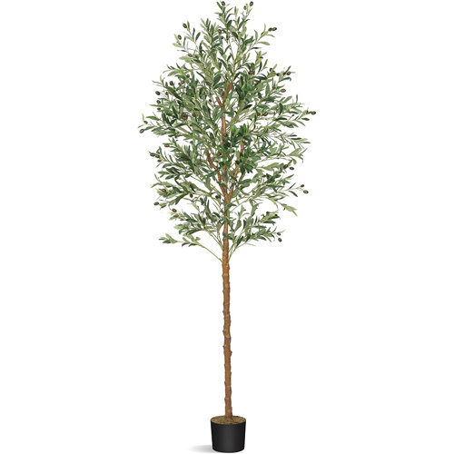 Primrue 83'' Faux Olive Tree Tree in Pot & Reviews Wayfair